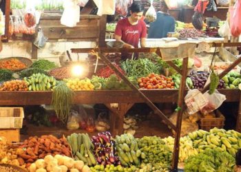 Pemerintah Siapkan Strategi untuk Menstabilkan Harga Pangan di Tengah Fluktuasi Ekonomi