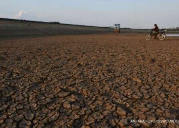 Kekeringan Ancam Indonesia, Daerah Mulai Alami Kemarau