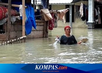 Banjir di Kabupaten Demak: Penyebab, Dampak, dan Solusi Terkini