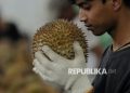 Rahasia Durian Indonesia Menggila di Pasar China Rp137 Triliun