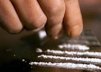 Dugaan Gudang Kosong, Pabrik Semarang Temukan 1,8 Ton Narkoba dan Jutaan Pil Zenith