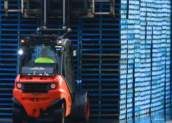 Shareholders set for $100m payout after historic court win