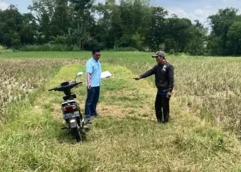 Keluarga Pencuri Motor di Singosari Terbongkar