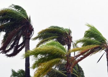 Cyclones Target Fiji, Solomon Islands, PNG and NZ