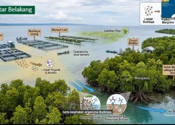 BRIN temukan mangrove sebagai penyaring alami