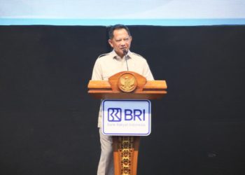 Mendagri ajak pemda Papua tingkatkan kolaborasi dukung perumahan