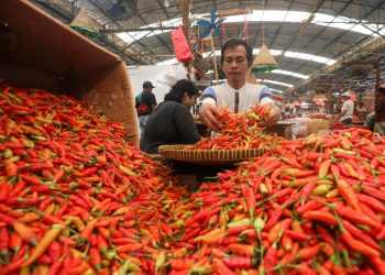Harga Pangan Cirebon Pekan Ketiga April: Cabai Makin Pedas, Beras Stabil