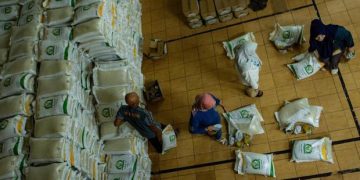 Badan Pangan Waspadai Kenaikan Harga Beras dan Gula Akibat Krisis Plastik