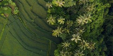 Wajib Dikunjungi! 6 Destinasi Alam Ubud untuk Liburan Keluarga