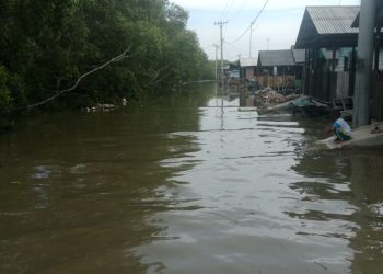 Banjir Rob Genangi Jalan Desa Bagankuala