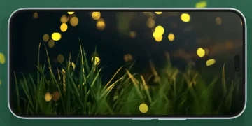 Review Lengkap Honor X8: Spesifikasi, Harga, dan Keunggulan Terbaru
