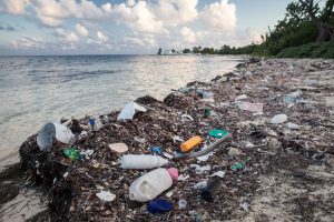 RI_plastic%20on%20beach_canva.jpg