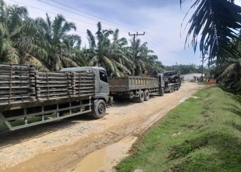 Dari Desa Pinggiran, Asa Konektivitas Ditegakkan: TNI Mulai Bangun Jembatan Garuda di Tala