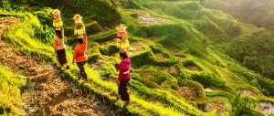 Wisata-Kesenian-Daerah-Ubud-Keindahan-Seni-dan-Budaya-di-Bali.jpg