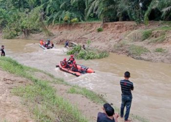 Tengkorak Pria Tersangkut di Pohon Hebohkan Aceh Tamiang