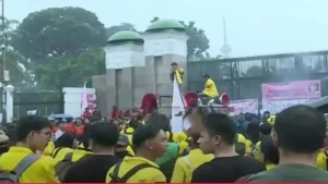 demo41.jpg