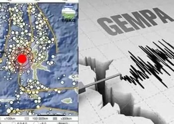 Gempa Terkini Maluku Utara Hari Ini, Informasi BMKG