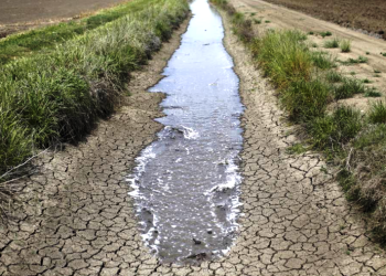 Berjuang Menghadapi Kekeringan