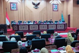 rapat-dengar-pendapat.jpg