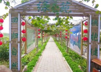 Tunggakan PBB Bangka Capai Rp13 Miliar, Pemkab Beri Diskon 75 Persen