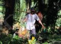 Harga CPO turun di bawah MYR 4.600 per ton: Ini penyebab utamanya!