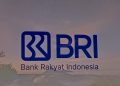 BRI Tanggapi Isu Bank UMKM PNM, Janjikan Dukungan Kebijakan Pemerintah