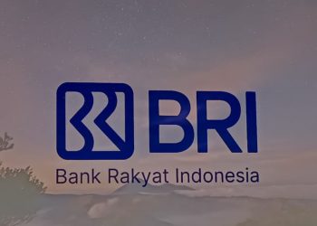 BRI Tanggapi Isu Bank UMKM PNM, Janjikan Dukungan Kebijakan Pemerintah