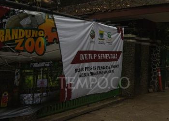Lelang Pengelola Bandung Zoo Diwarnai Translokasi Satwa