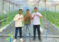 SPPG Negerilama Berdayakan Petani Lokal Budidaya Melon Bersama Yayasan Kumle Jaya Bermartabat