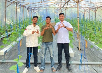 SPPG Negerilama Berdayakan Petani Lokal Budidaya Melon Bersama Yayasan Kumle Jaya Bermartabat
