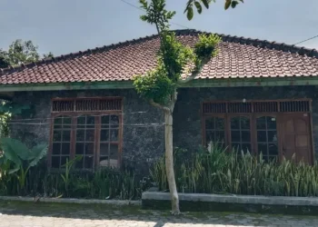 Rumah Warga Sleman Jadi Daycare Ilegal, Polisi Temukan 11 Bayi dalam Perawatan