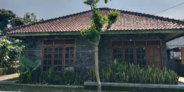 Rumah Warga Sleman Jadi Daycare Ilegal, Polisi Temukan 11 Bayi dalam Perawatan