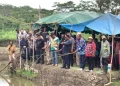 Program ketahanan pangan lokal, wabub Jayawijaya panen ikan di Silokarno Doga