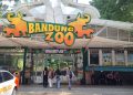 BBKSDA Jabar Siap Evakuasi Satwa Bandung Zoo