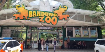 BBKSDA Jabar Siap Evakuasi Satwa Bandung Zoo