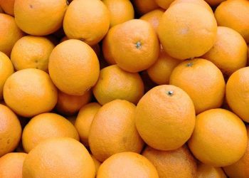 7 makanan alami atasi bau badan, apa saja?