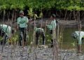 Ucapan Selamat HUT Haltim ke 23: PT Position Hijaukan Pantai Kasuari Wailukum Bersama Sektor Lintas
