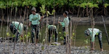 Ucapan Selamat HUT Haltim ke 23: PT Position Hijaukan Pantai Kasuari Wailukum Bersama Sektor Lintas