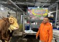 Jaguar dan Sapi 1 Ton dari Situbondo untuk Kurban Prabowo