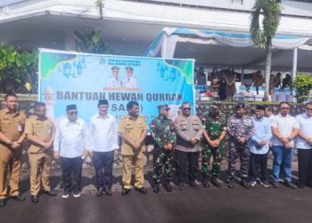 Gubernur YSK Distribusikan 46 Hewan Kurban untuk Muslim Sulut, Sapi dari Presiden Prabowo