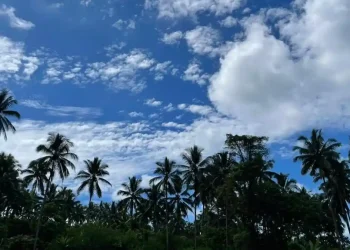 Prakiraan Cuaca Sulawesi Utara Hari Ini: Mitra Berawan, Tomohon Hujan