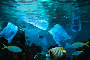 Water-Pollution-in-Malaysia-Its-Dire-Effects-and-Cause-for-Solutions.jpg