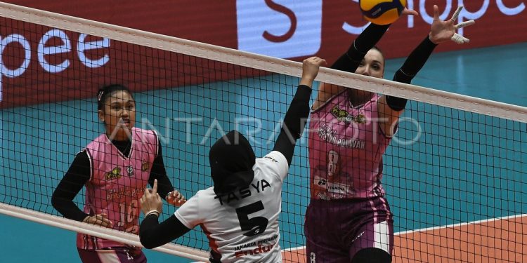 Final Four Proliga 2026: Gresik Phonska Kalahkan Jakarta Popsivo Polwan