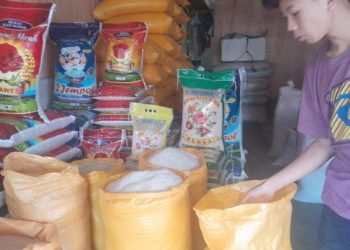 Produksi Melimpah Tapi Beras Jadi Penyumbang Inflasi, Termasuk di Balikpapan dan Berau