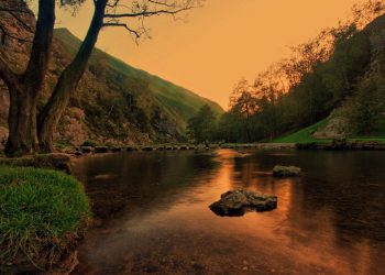 Mertua Rizky Billar Terekam Pikul Petai, Kehidupan Ayah Lesti di Kampung Kembali Disorot