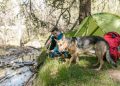 5 Kesalahan Fatal Camping Pemula