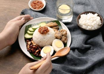 Makan Siang Cerdas: Tetap Waspada Saat Nyetir