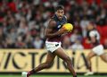 Lions Hit Hard: Trio Out for QClash, Cat Star Questionable