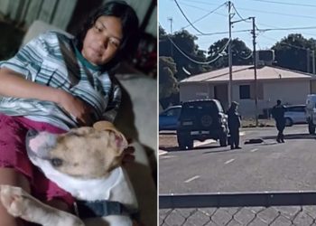 Street Tragedy: Neighbours Hear Dog Shot After Schoolgirl’s Pet Hit by Police Car