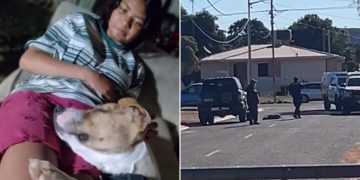 Street Tragedy: Neighbours Hear Dog Shot After Schoolgirl’s Pet Hit by Police Car